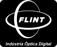 FLINT Logo