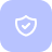 icon shield